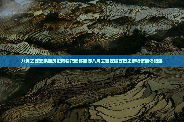 八月去西安陕西历史博物馆团体旅游