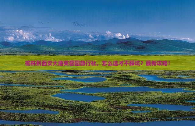 榆林到西安大唐芙蓉园旅行社