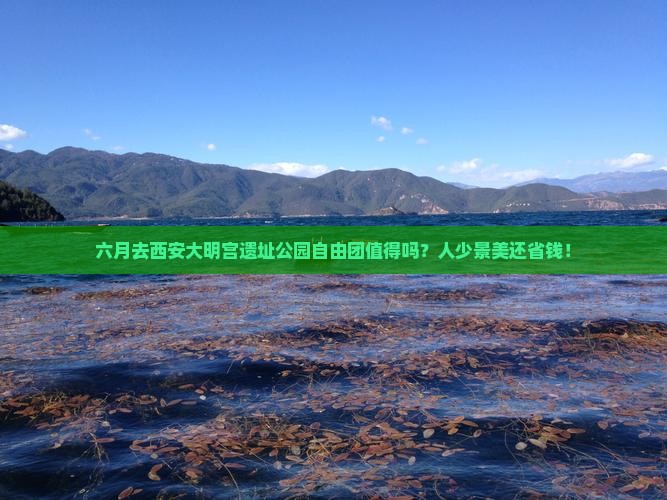 六月到西安大明宫国家遗址公园自由团
