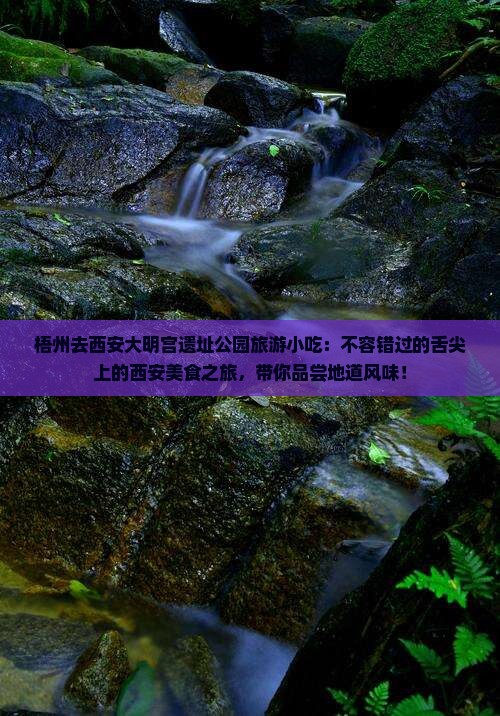 梧州去西安大明宫国家遗址公园旅游小吃