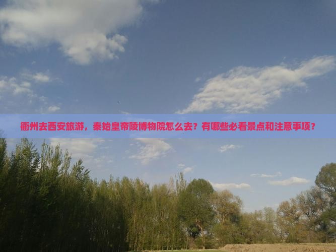 衢州去西安秦始皇帝陵博物院攻略