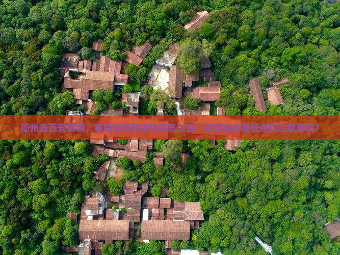 衢州去西安秦始皇帝陵博物院攻略