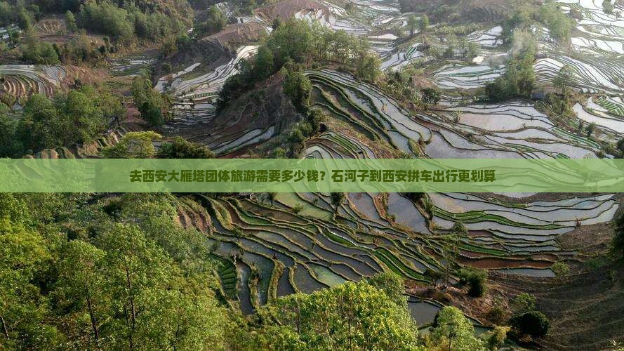 石河子去西安大雁塔团体旅游