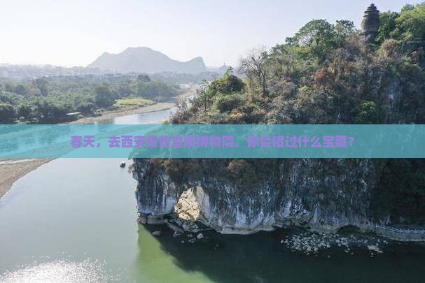 春天去西安秦始皇帝陵博物院攻略