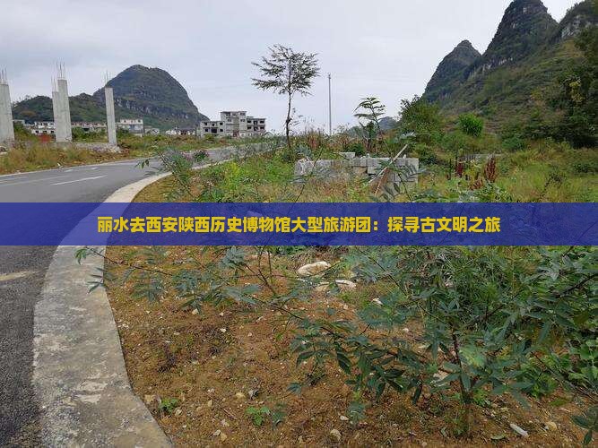 丽水去西安陕西历史博物馆大型旅游团