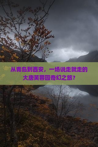 青岛到西安大唐芙蓉园团体旅游