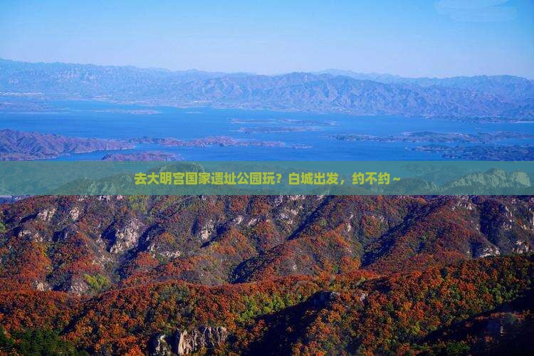 白城去西安大明宫国家遗址公园旅行社