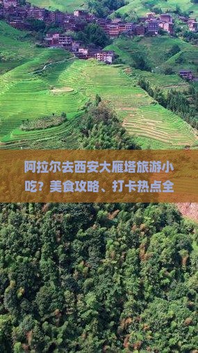 阿拉尔去西安大雁塔旅游小吃