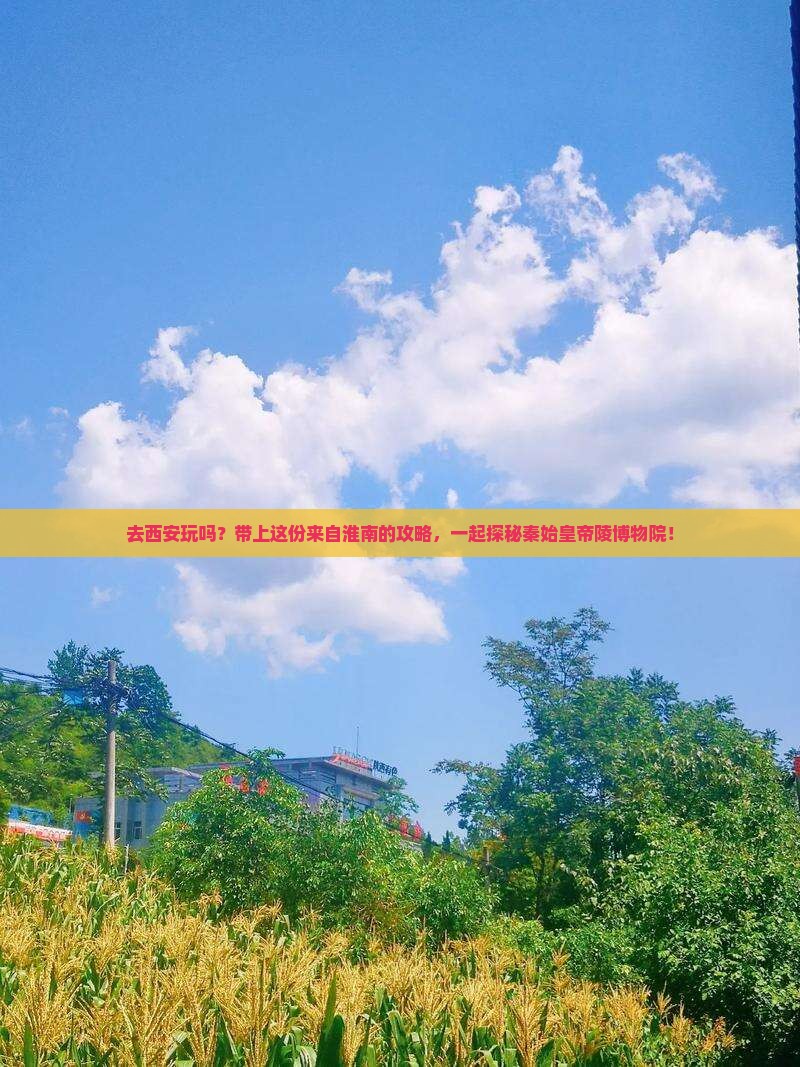淮南去西安秦始皇帝陵博物院旅行社