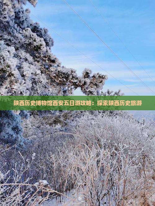 永新去西安陕西历史博物馆五日游