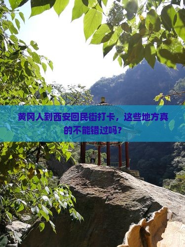 黄冈去西安回民街必去地