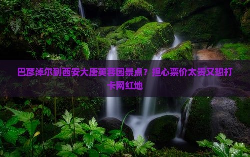 巴彦淖尔到西安大唐芙蓉园景点