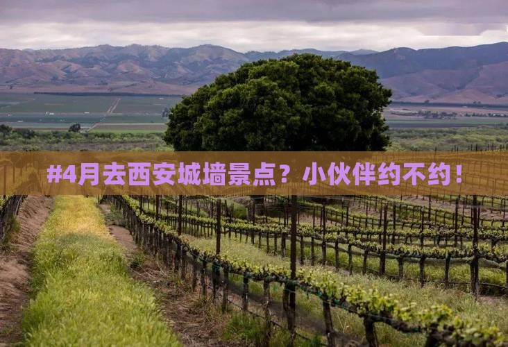 四月去西安城墙景点