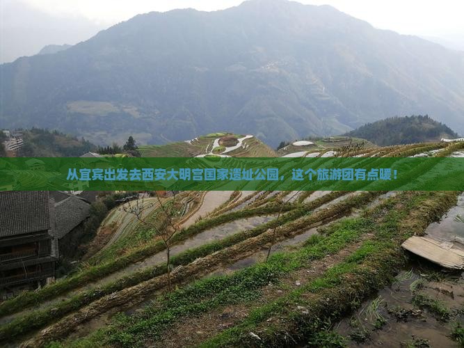宜宾到西安大明宫国家遗址公园大型旅游团