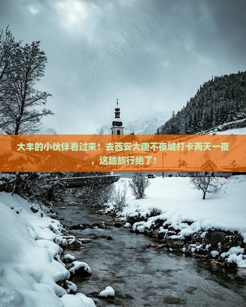 大丰去西安大唐不夜城二日游