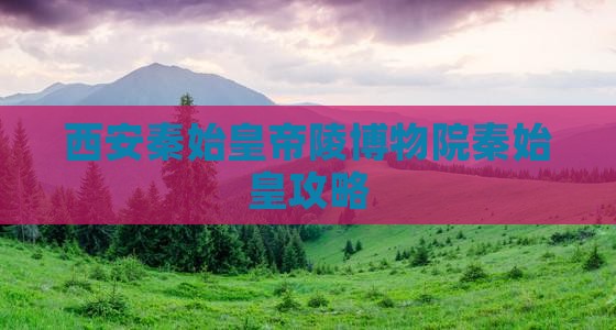 河源去西安秦始皇帝陵博物院攻略