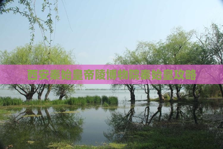 河源去西安秦始皇帝陵博物院攻略