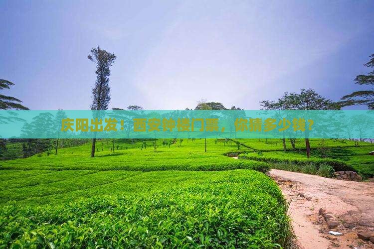 庆阳去西安钟楼门票