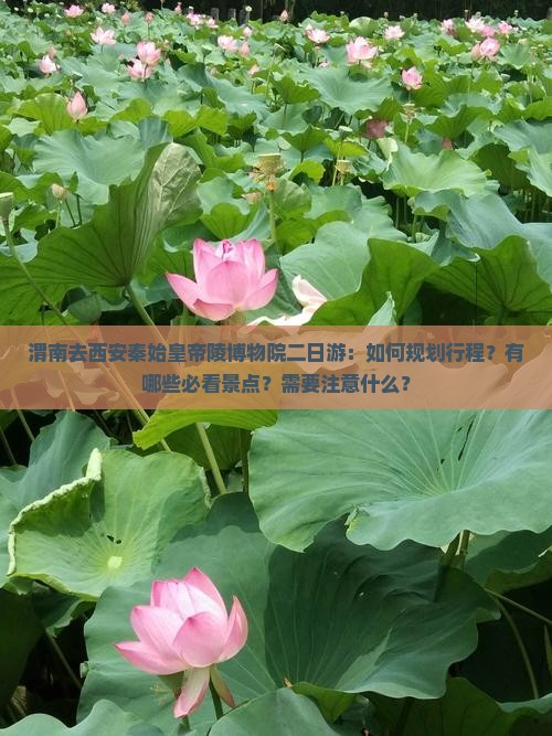渭南去西安秦始皇帝陵博物院二日游