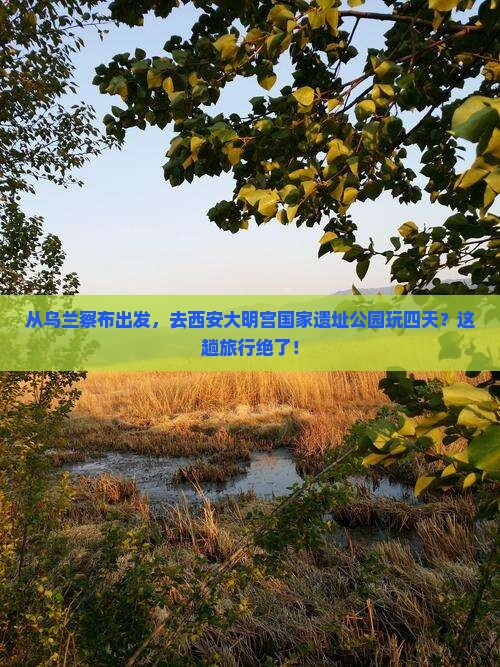 乌兰察布到西安大明宫国家遗址公园四日游