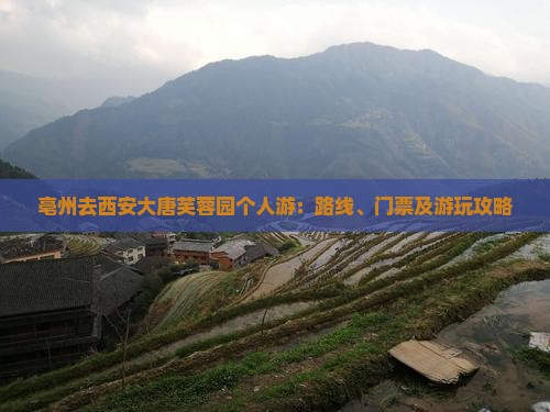 亳州去西安大唐芙蓉园个人游