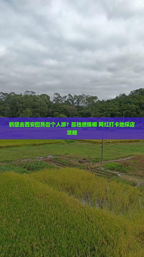 鹤壁去西安回民街个人游
