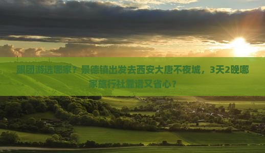 景德镇去西安大唐不夜城旅行社