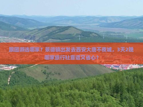 景德镇去西安大唐不夜城旅行社