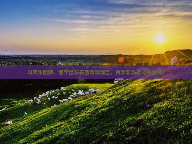 遂宁去西安华清宫二日游