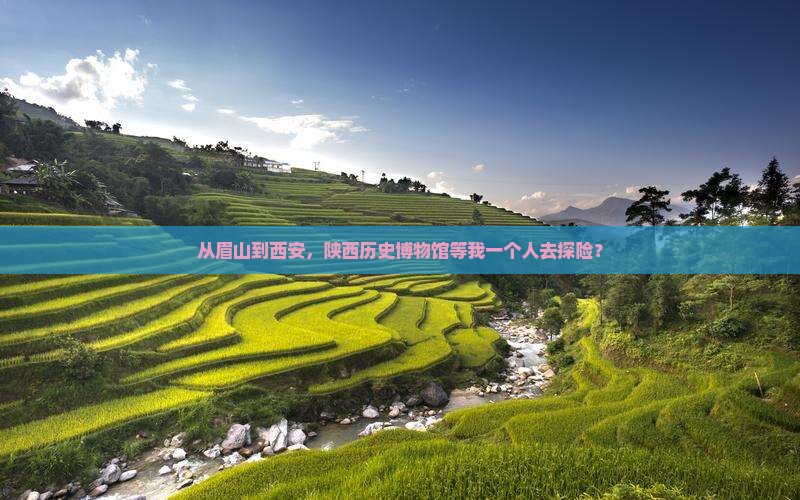 眉山去西安陕西历史博物馆个人游