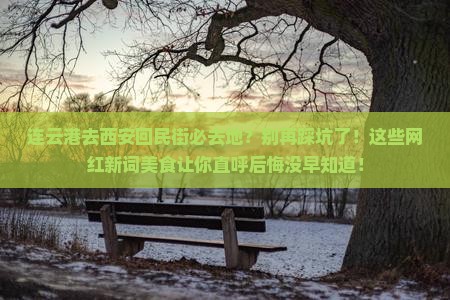 连云港去西安回民街必去地