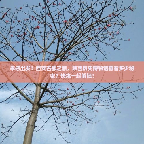孝感去西安陕西历史博物馆大型旅游团 孝感去西安陕西历史博物馆大型旅游团