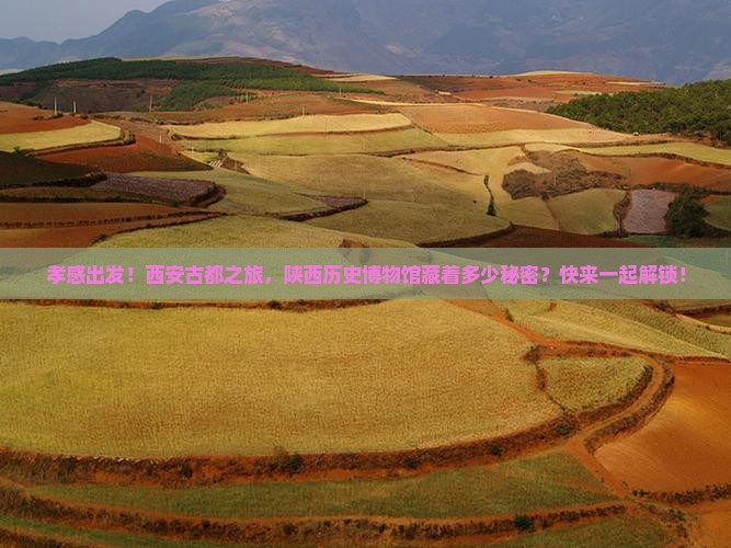 孝感去西安陕西历史博物馆大型旅游团 孝感去西安陕西历史博物馆大型旅游团