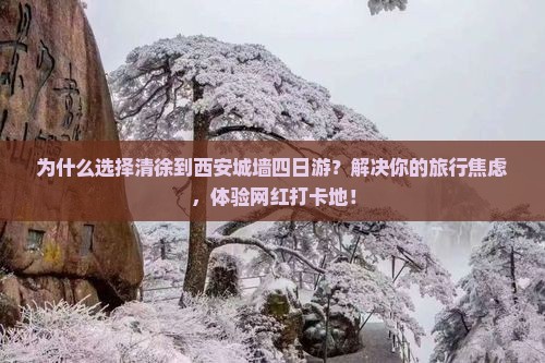 清徐到西安城墙四日游