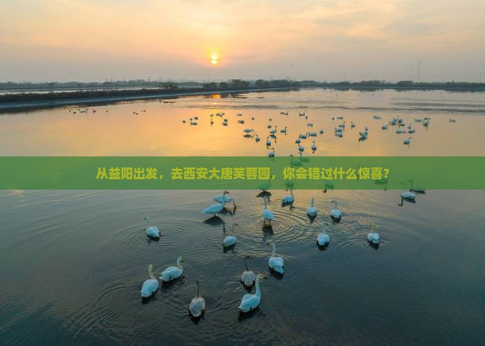 益阳到西安大唐芙蓉园旅行社