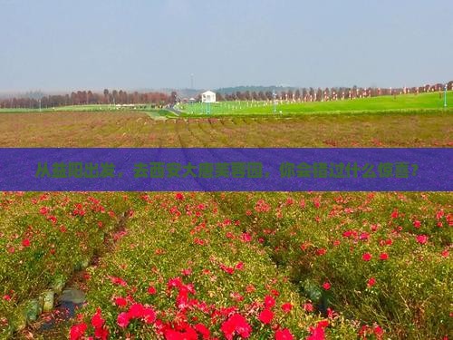 益阳到西安大唐芙蓉园旅行社