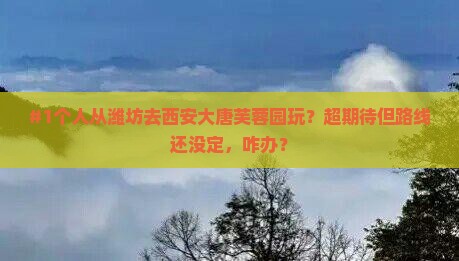 潍坊到西安大唐芙蓉园个人游