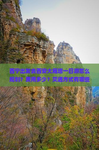 西宁去西安大雁塔一日游