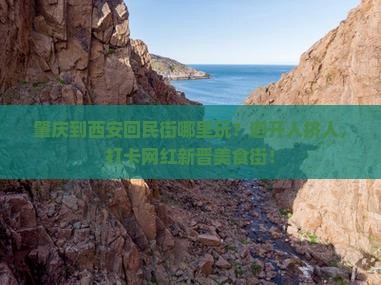 肇庆到西安回民街哪里玩
