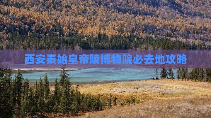 岳阳去西安秦始皇帝陵博物院必去地