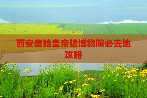岳阳去西安秦始皇帝陵博物院必去地