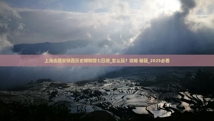 上海去西安陕西历史博物馆七日游