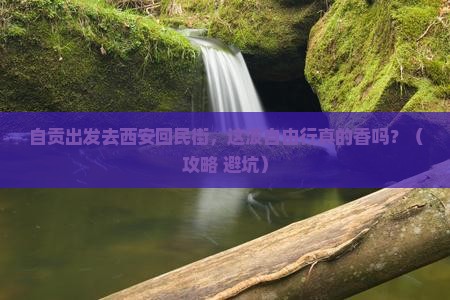 自贡去西安回民街自由行