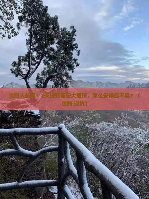 沈阳到西安大雁塔二日游
