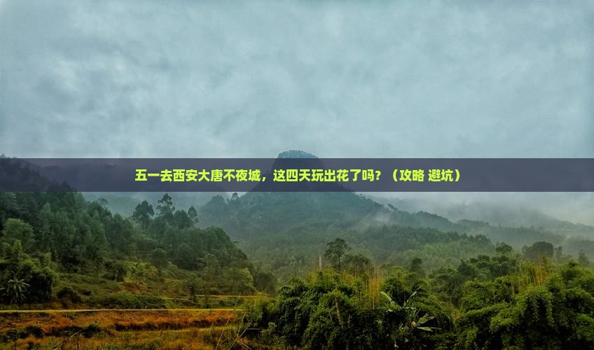 劳动节去西安大唐不夜城四日游