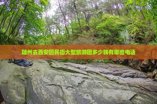 随州去西安回民街大型旅游团
