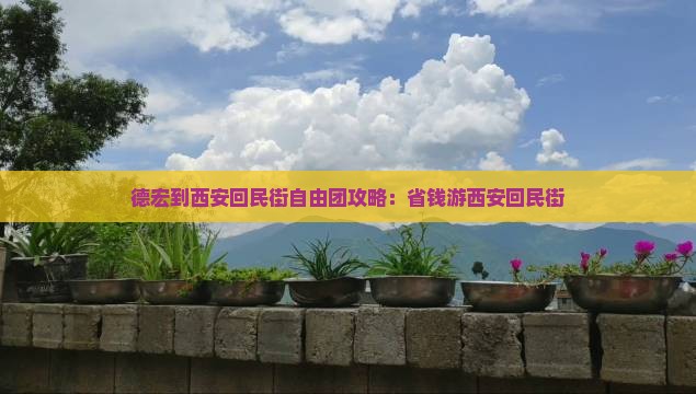 德宏到西安回民街自由团