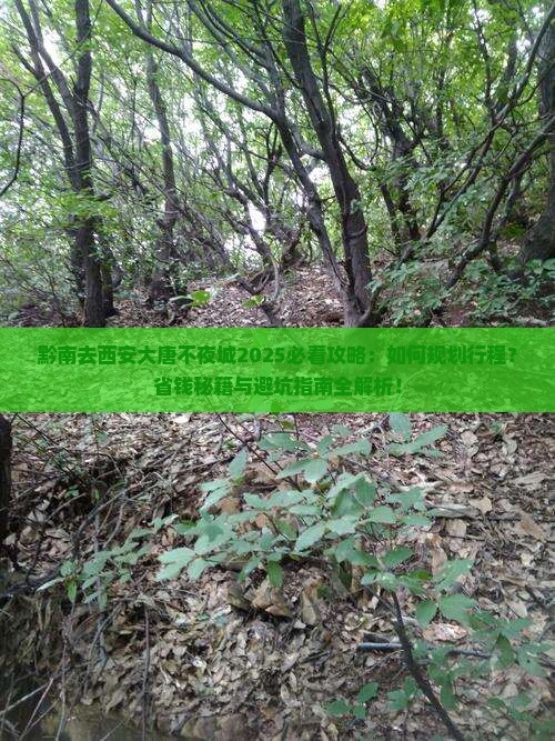 黔南去西安大唐不夜城旅行社