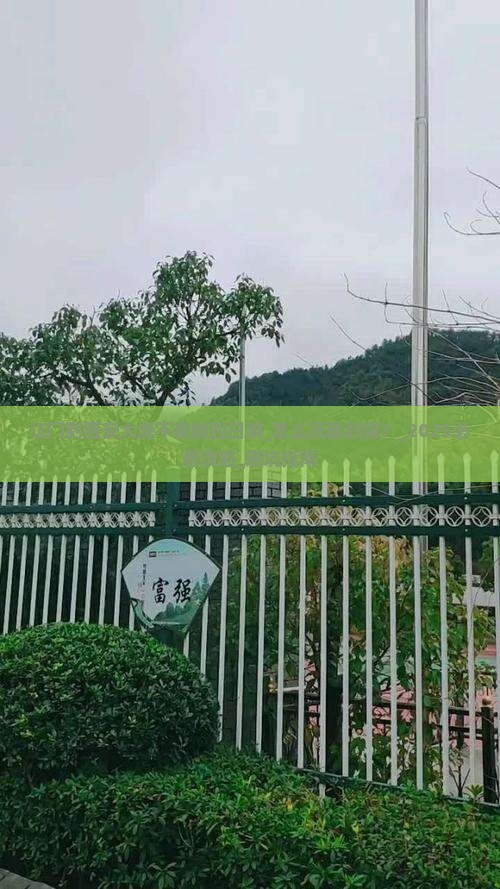江门到西安大唐不夜城四日游
