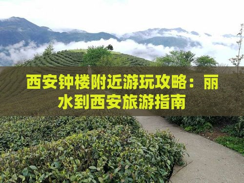 丽水到西安钟楼哪里玩